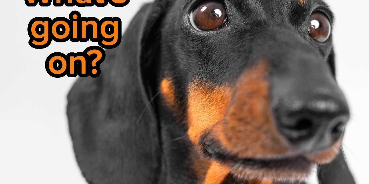 Common Experiences All 20-Somethings Share