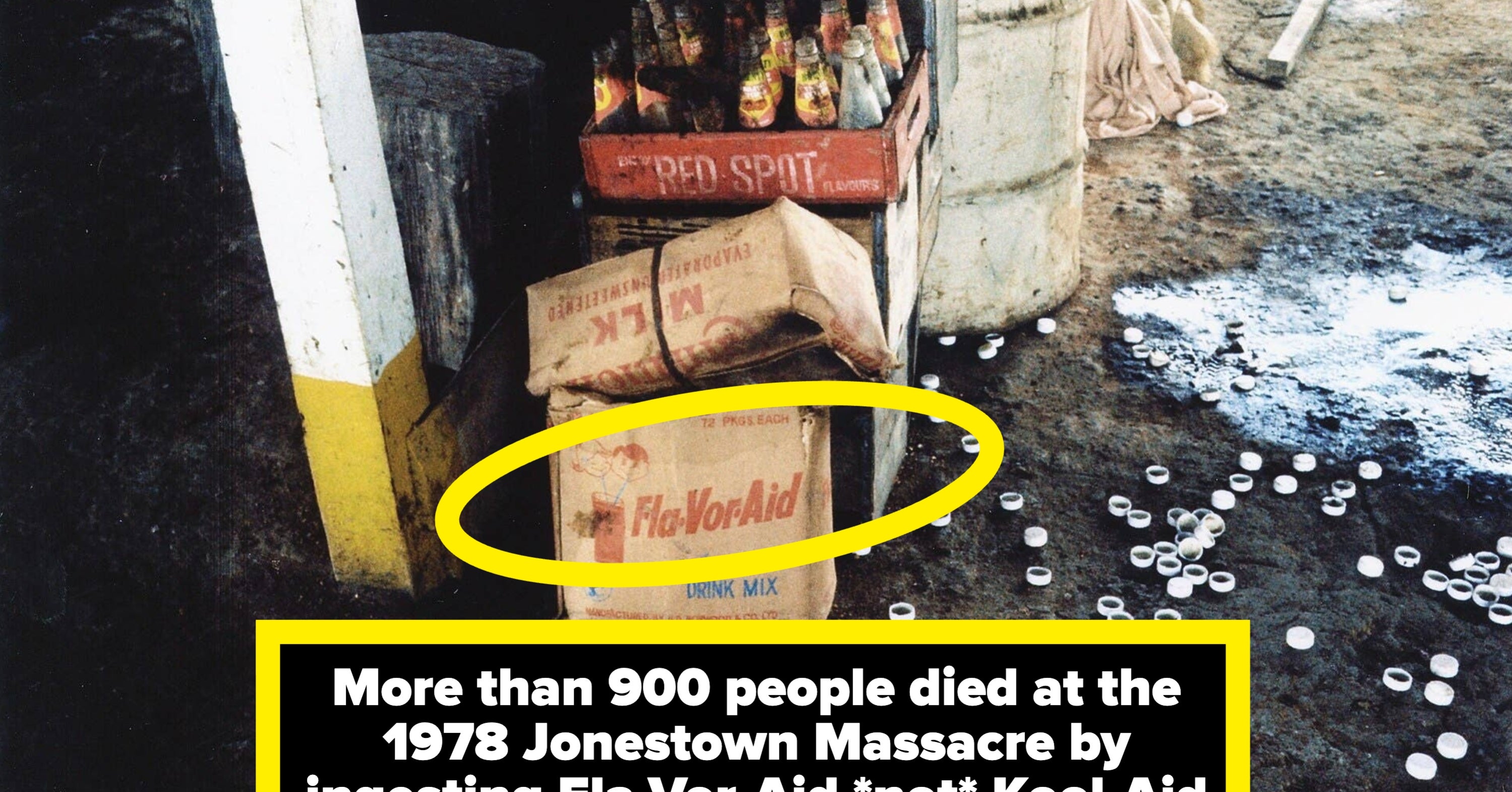 People Are Sharing The Historical Myths That They Correct Every Chance They Get