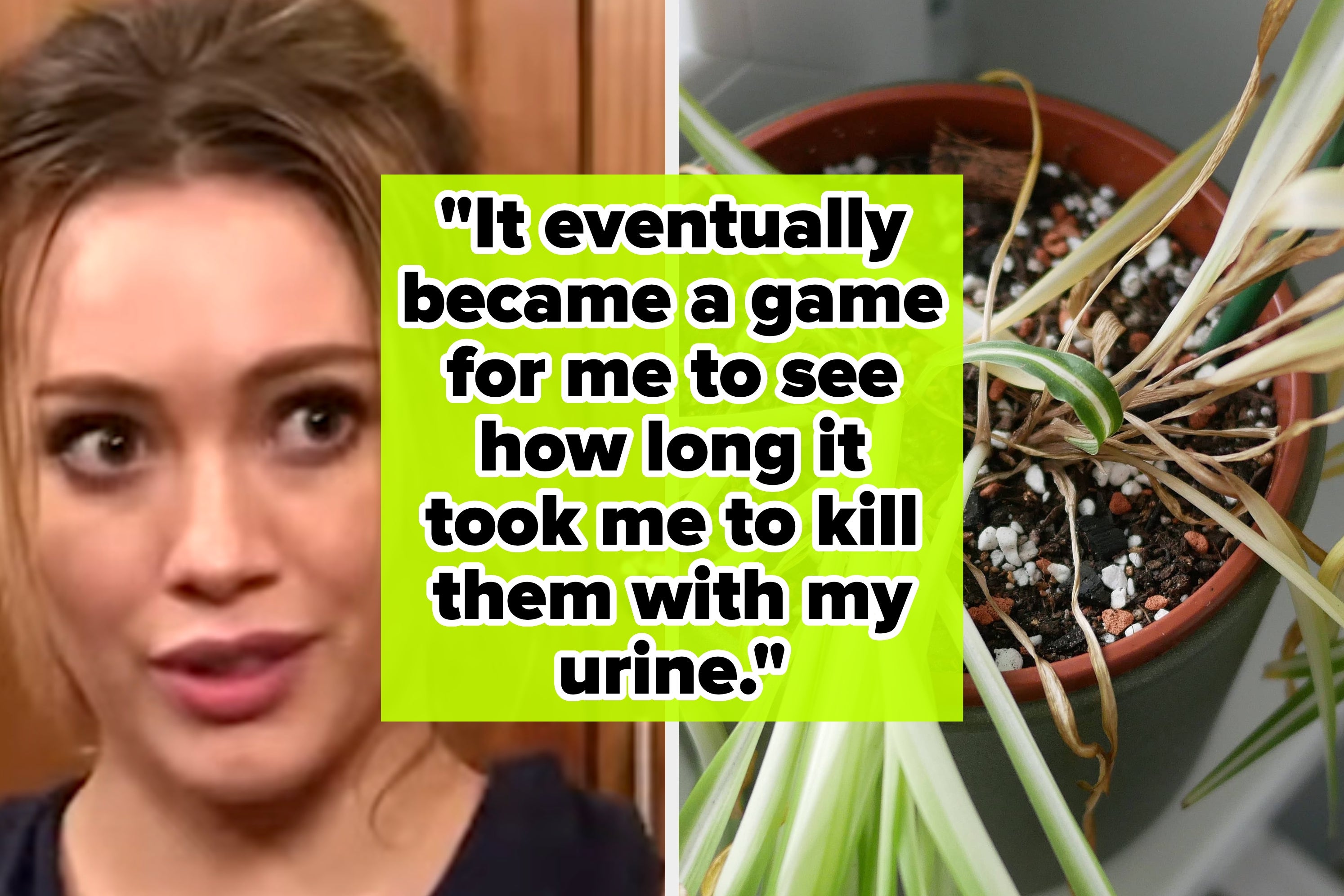 “I’ve Never Heard From Her Since”: Anonymous People Are Confessing Their Darkest Secrets And I’m Going To Need A Moment Of Silence To Process Some Of These