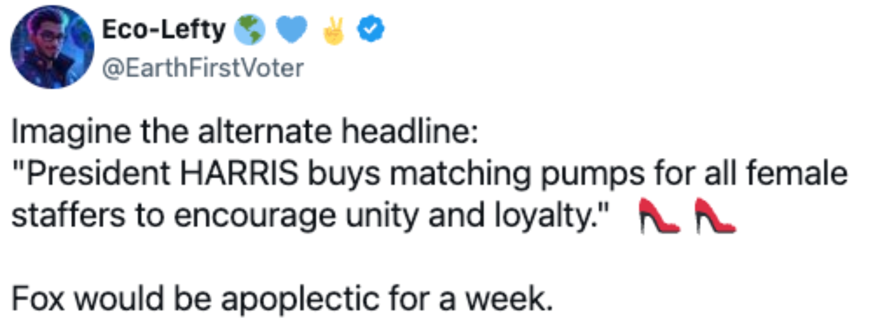Tweet joking about reactions if President Harris bought matching pumps for female staffers to promote unity
