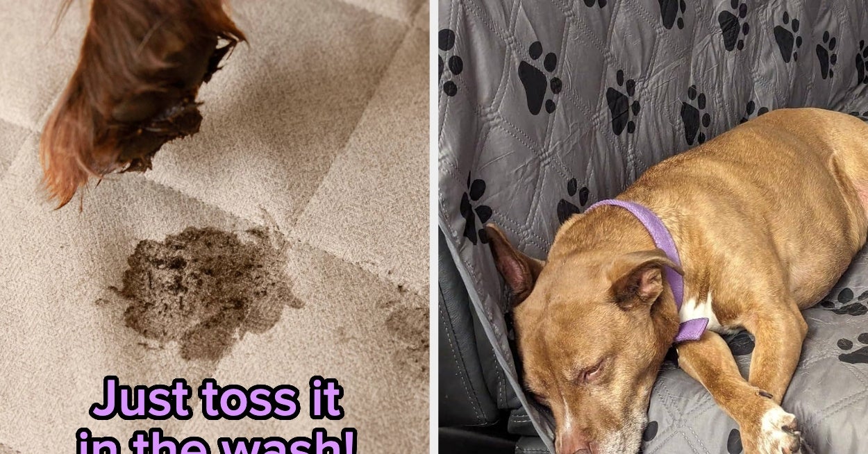 If You Have A Dog, You Should Check Out These 15 Couch Covers