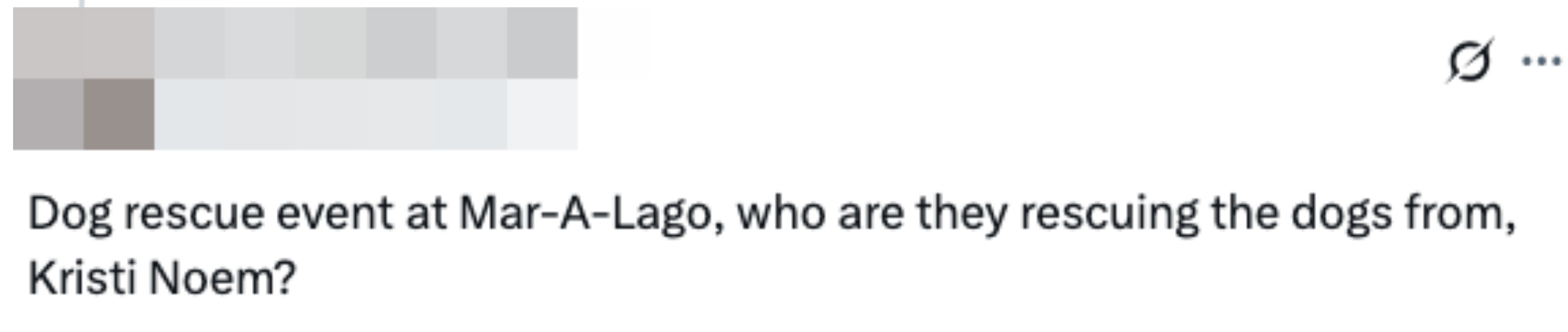 Tweet questioning a canine  rescue lawsuit   astatine  Mar-A-Lago, humorously asking who the dogs are being rescued from, mentioning Kristi Noem