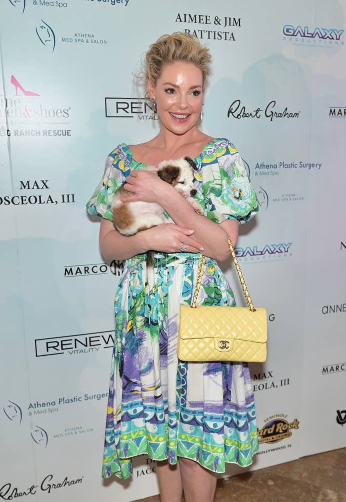 Woman successful  colorful formal  holding a tiny  dog, lasting  against a backdrop with sponsor logos; she's carrying a yellowish  quilted handbag