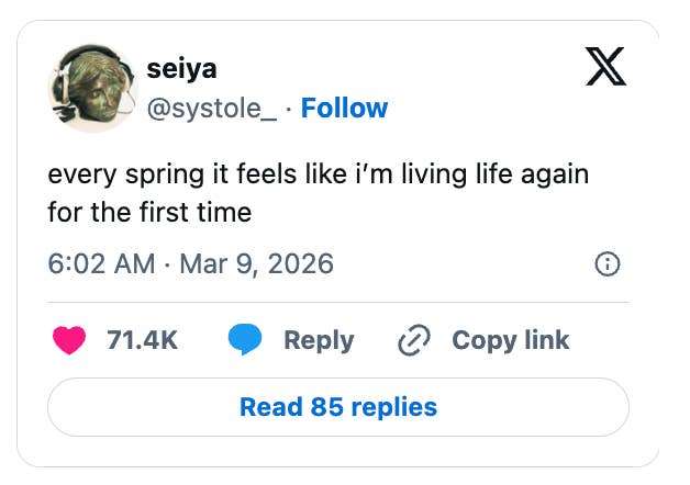 Tweet from Seiya: "Every spring it feels like I’m living life again for the first time." Received 71.4K likes