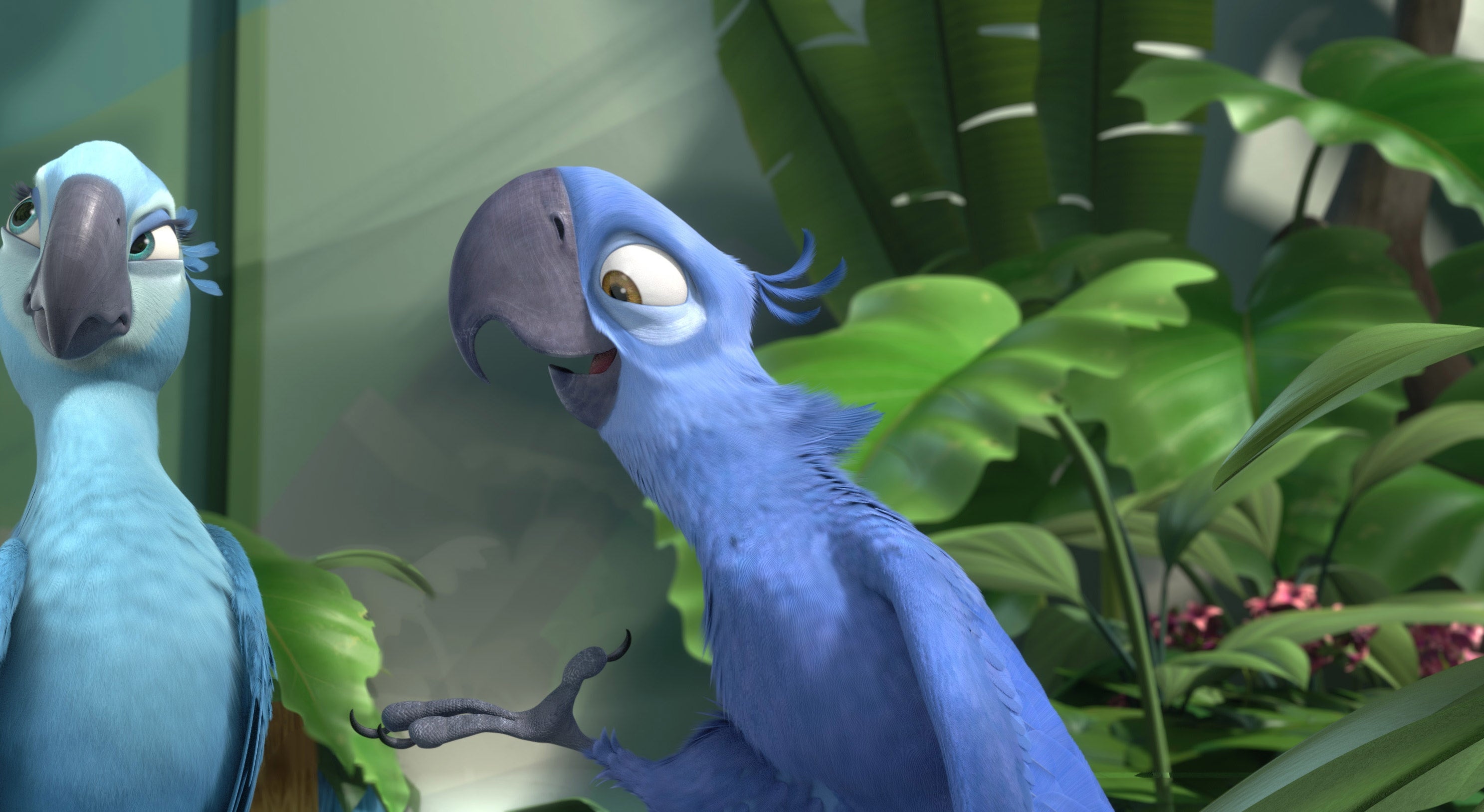 Two animated bluish  parrots are successful  a lush jungle setting. One looks annoyed, portion    the different   appears to beryllium  talking enthusiastically