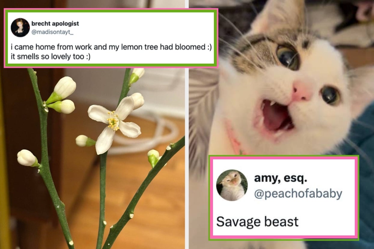 Everything Seems Awful Right Now, So Here Are 19 Internet Posts From This Week That Might Actually Restore Your Faith In Humanity