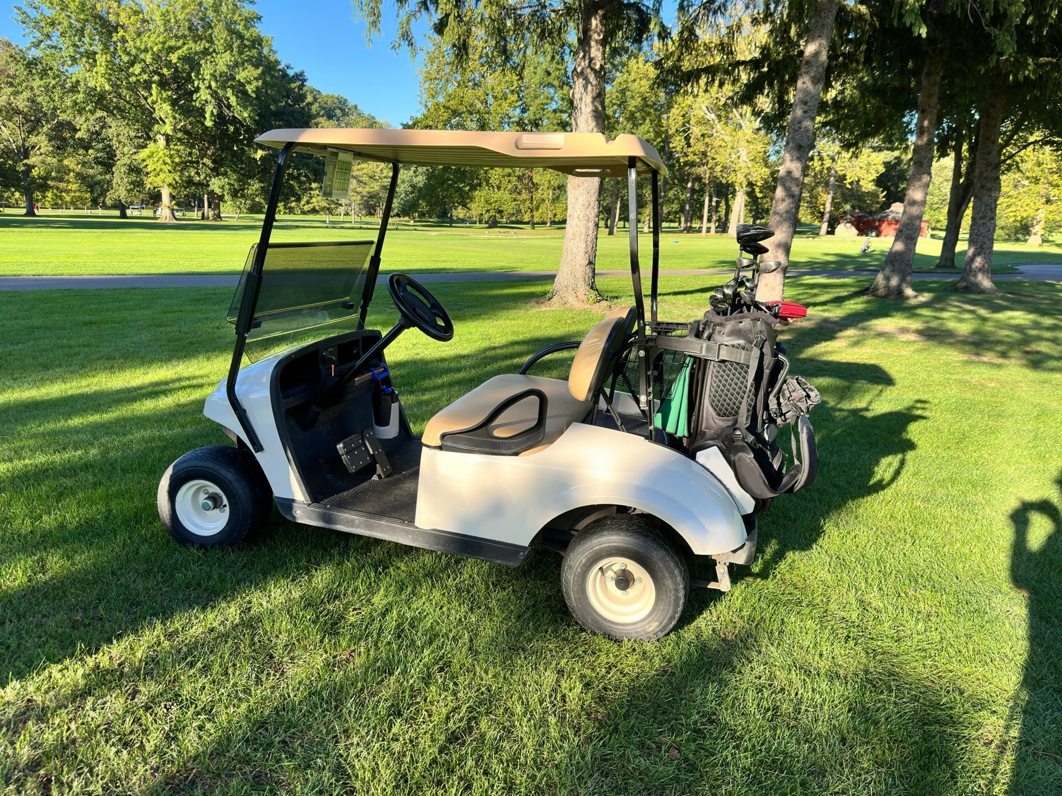 A play cart parked connected a grassy tract with a acceptable of play clubs attached astatine the back