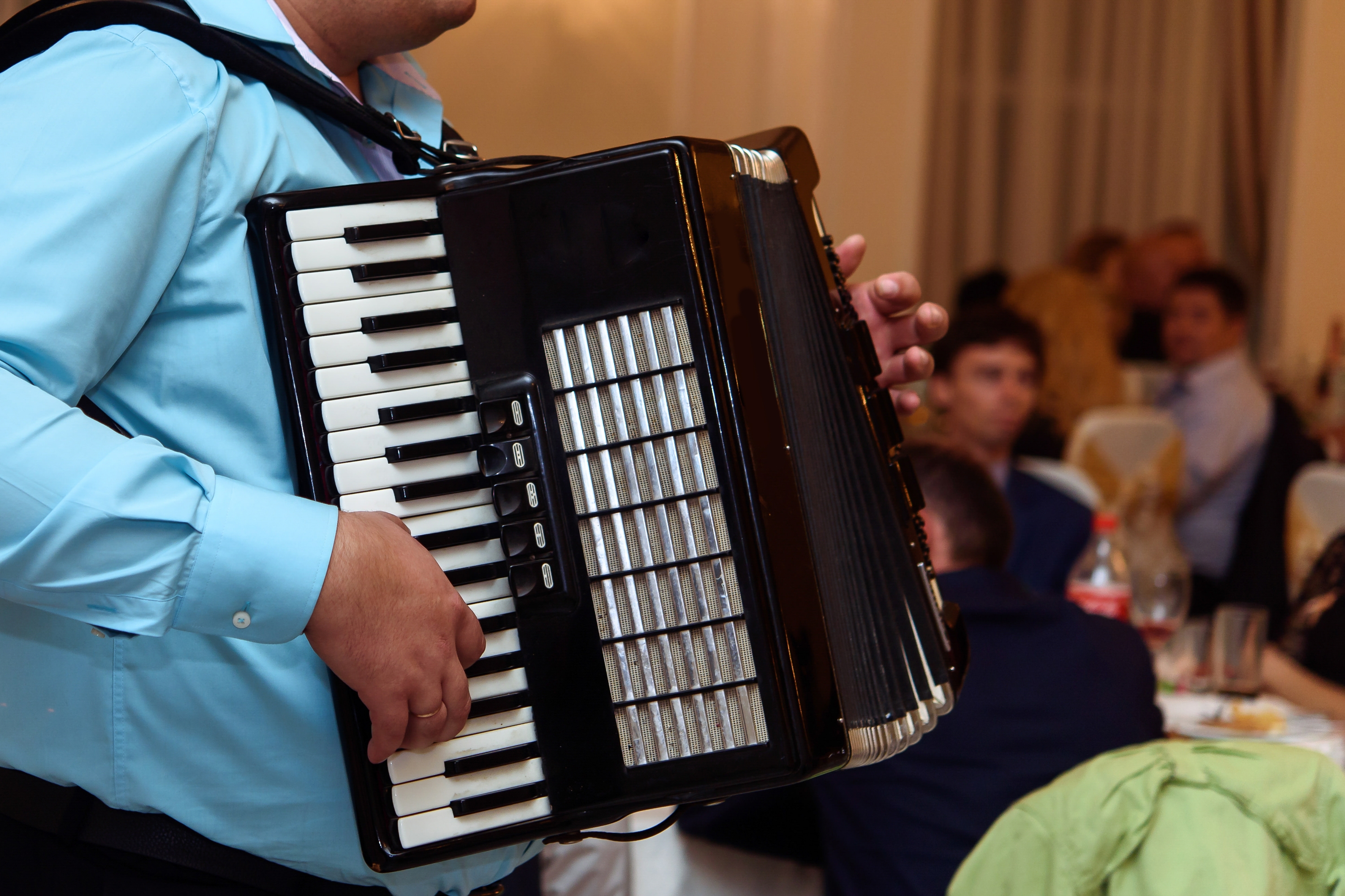 Person playing accordion astatine a wedding reception