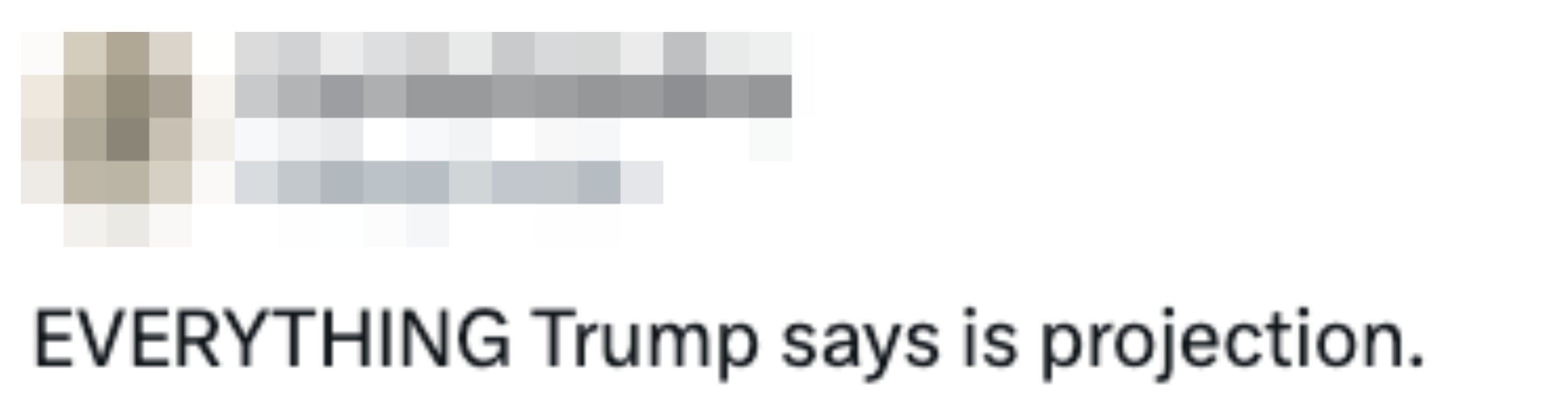 Tweet fra FloridaStateBoy lyder: "ALT Trump sier er projeksjon."