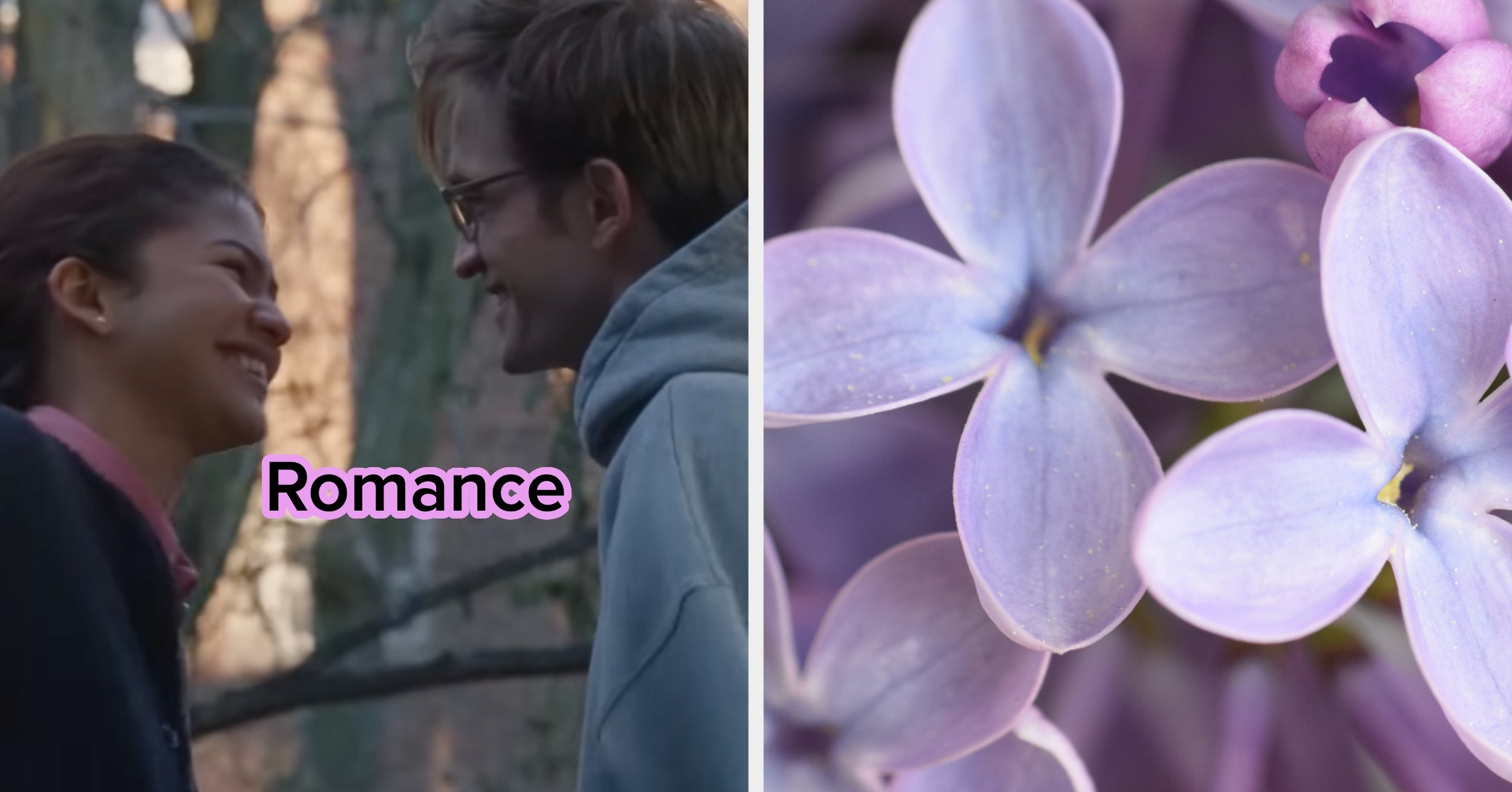 Pick Your Favorite Images And We'll Match You With A Genre