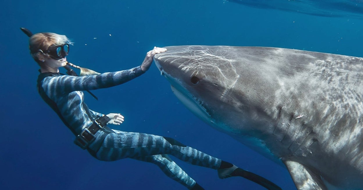 Which Fascinating Ocean Creature Are You?