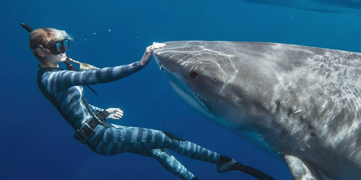 Which Fascinating Ocean Creature Are You?