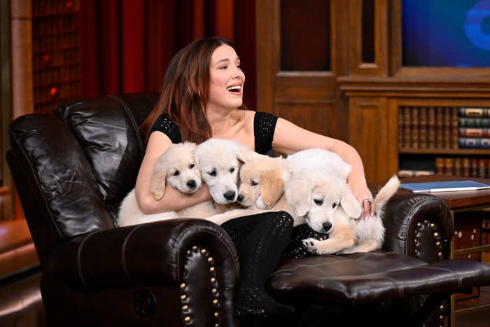 Millie Bobby Brown successful  a stylish formal  sits connected  a leather chair, happily holding 4  fluffy puppies successful  her arms