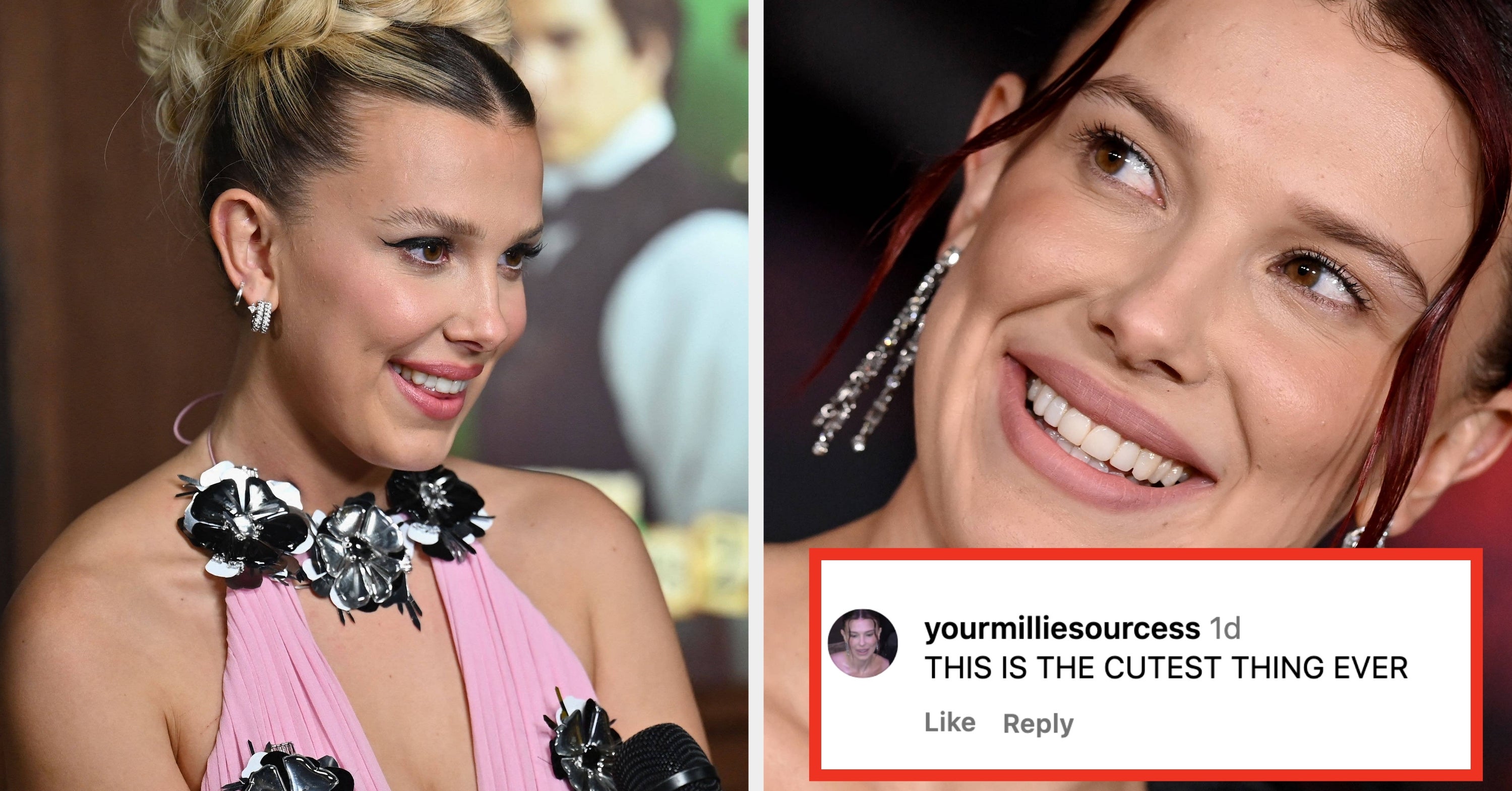 After The Katherine Heigl Drama, Fans Are Obsessed With Millie Bobby Brown's Animal Rescue Gala
