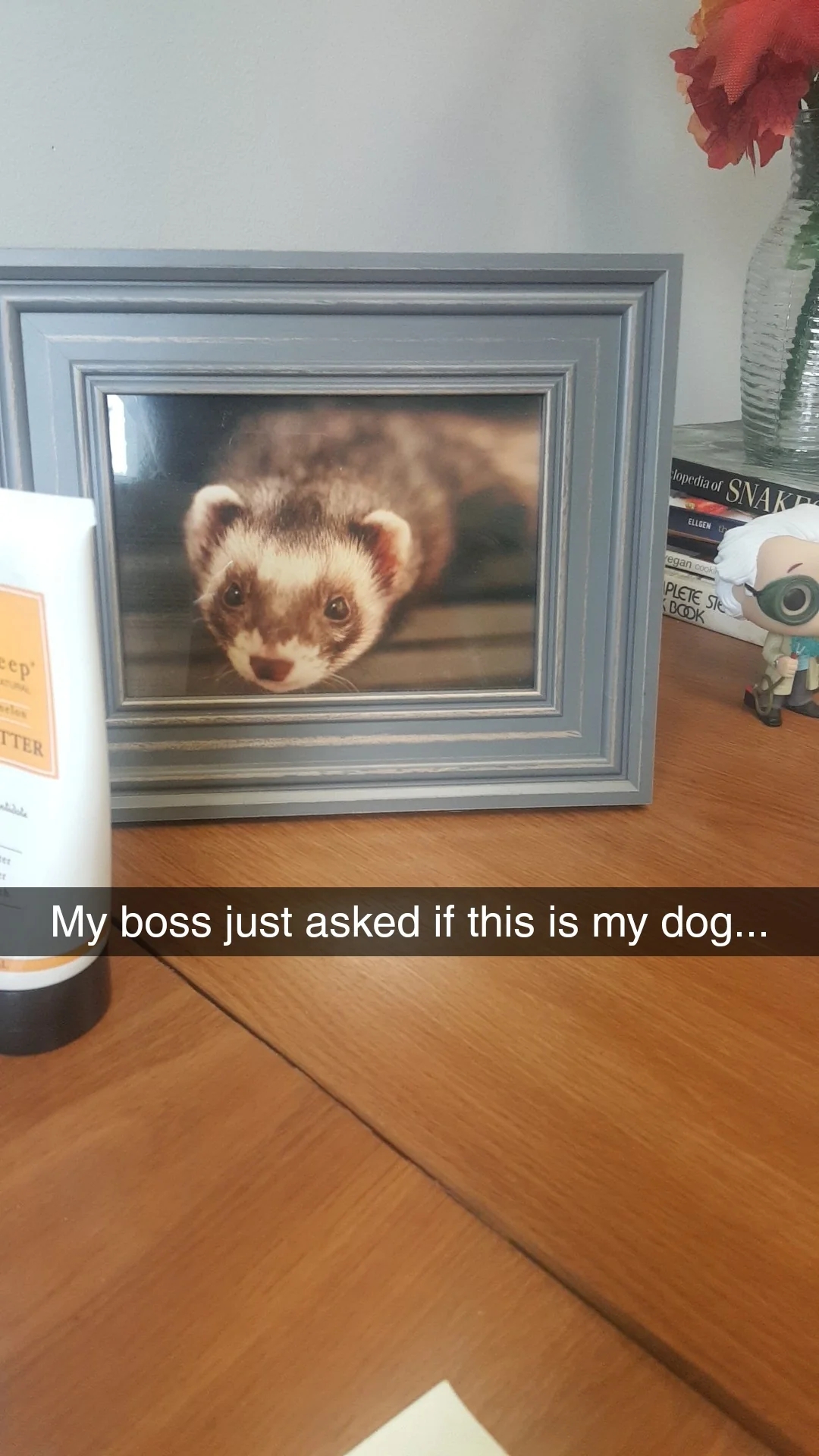  "My brag  conscionable  asked if this is my dog..."