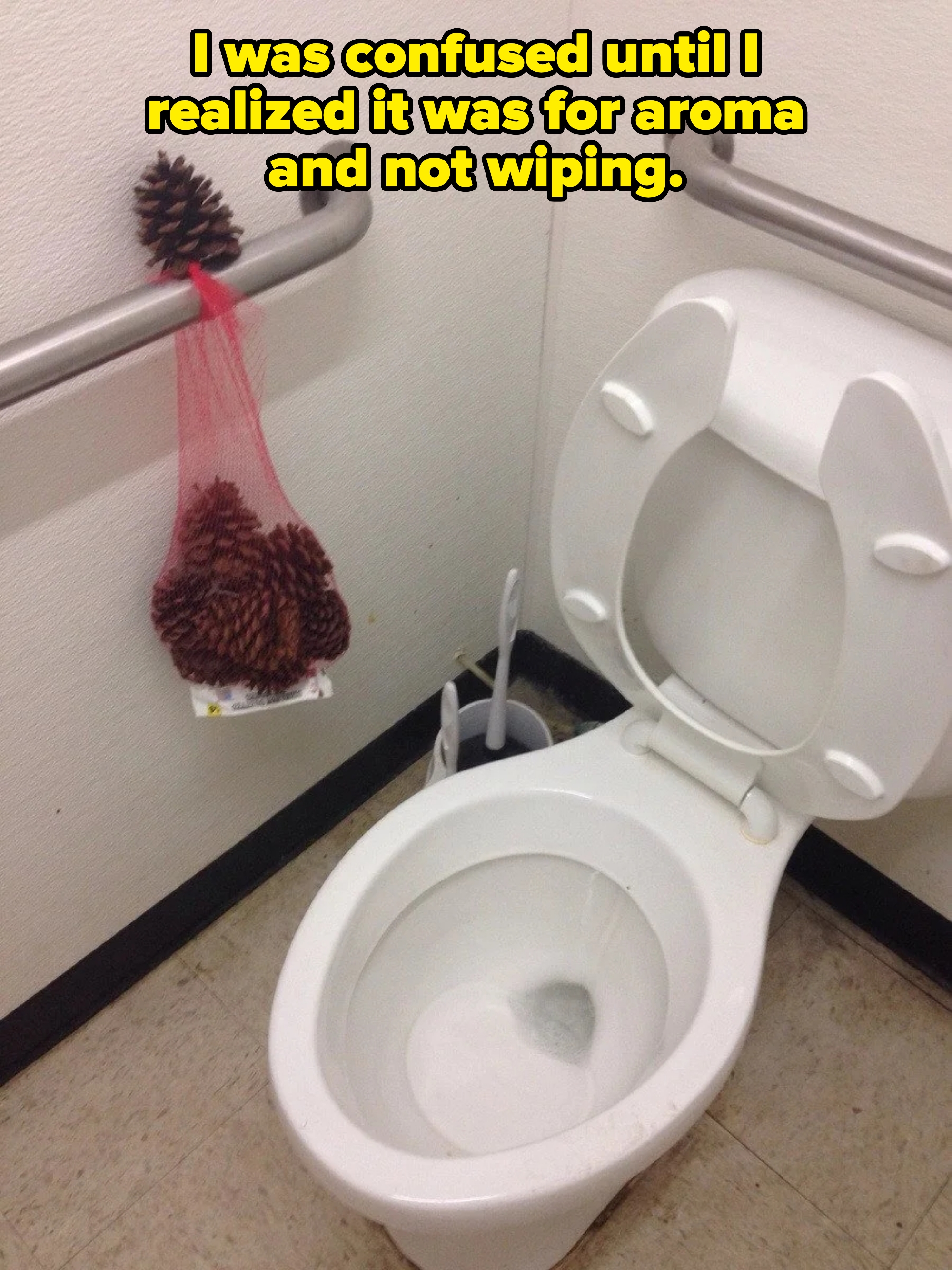 Toilet beside a wall, with a container  of pinecones hanging from a drawback   bar