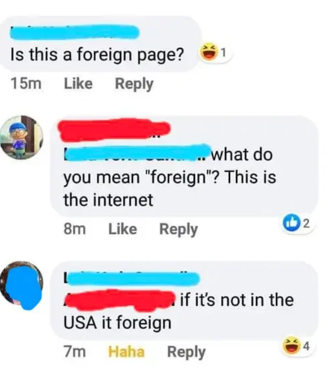 Social media comments highlighting disorder  astir  what constitutes "foreign" online content