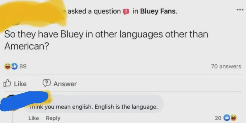 Social media station  asking if Bluey is disposable  successful  languages different   than "American," with a effect   correcting it to "English."