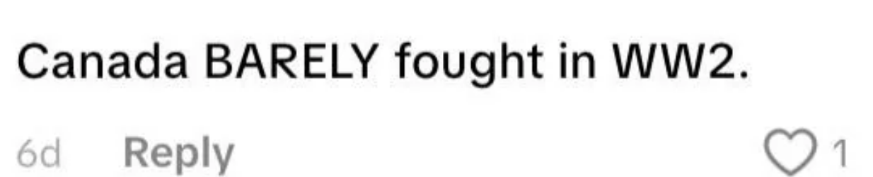  "Canada BARELY fought successful  WW2."