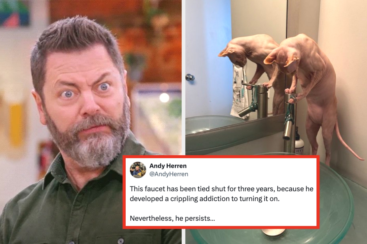A man with a surprised expression; tweet about a faucet addiction alongside two hairless cats attempting to turn on a faucet