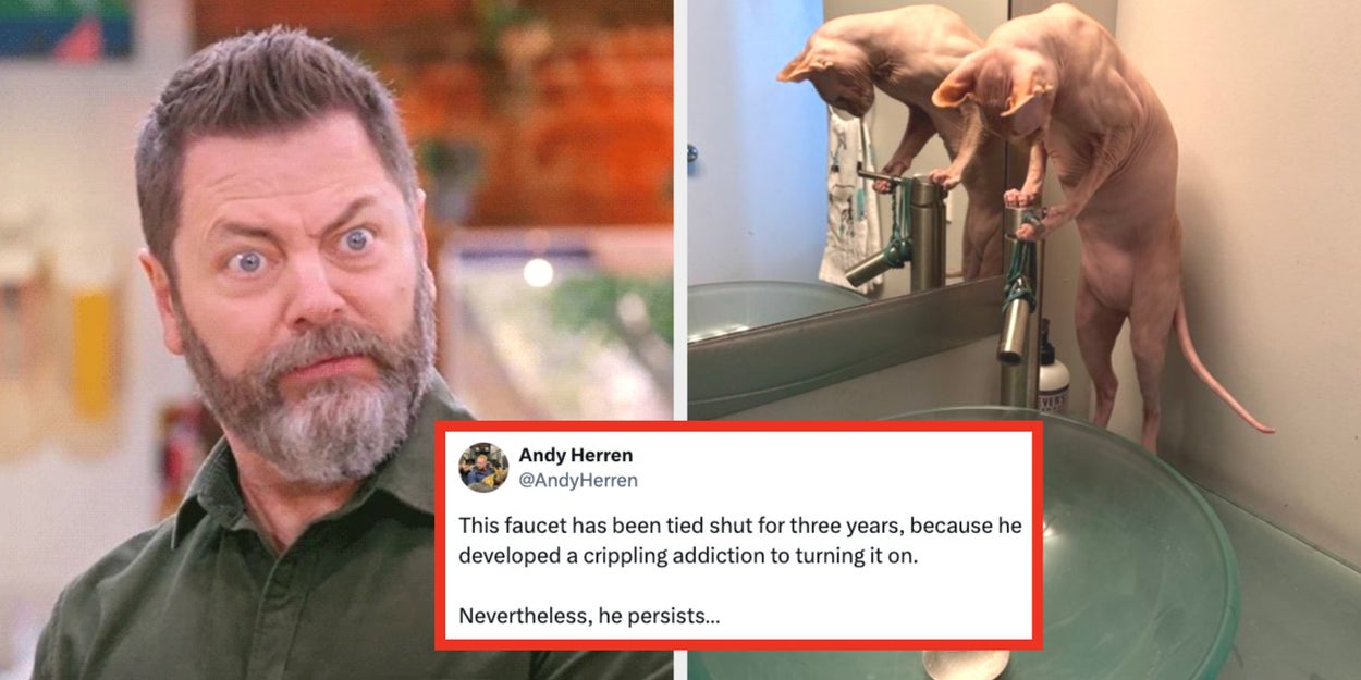 43 Hilarious Internet Fails From Last Week