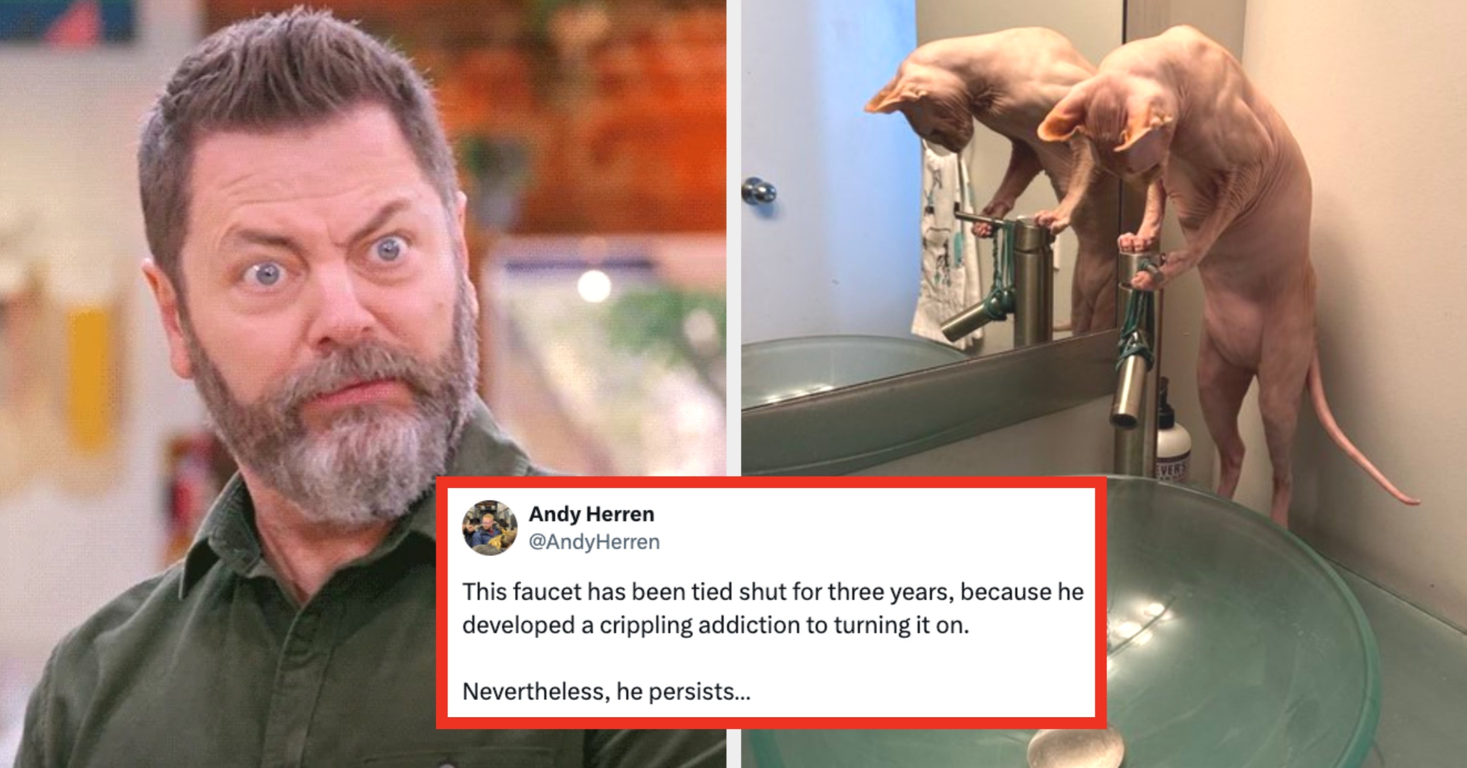 "They Have Been Making Fun Of Me Nonstop For 3 Hours": These 43 Hilarious Fails From Last Week Made Me Laugh So Hard I'm Gonna Get Pinched Tomorrow