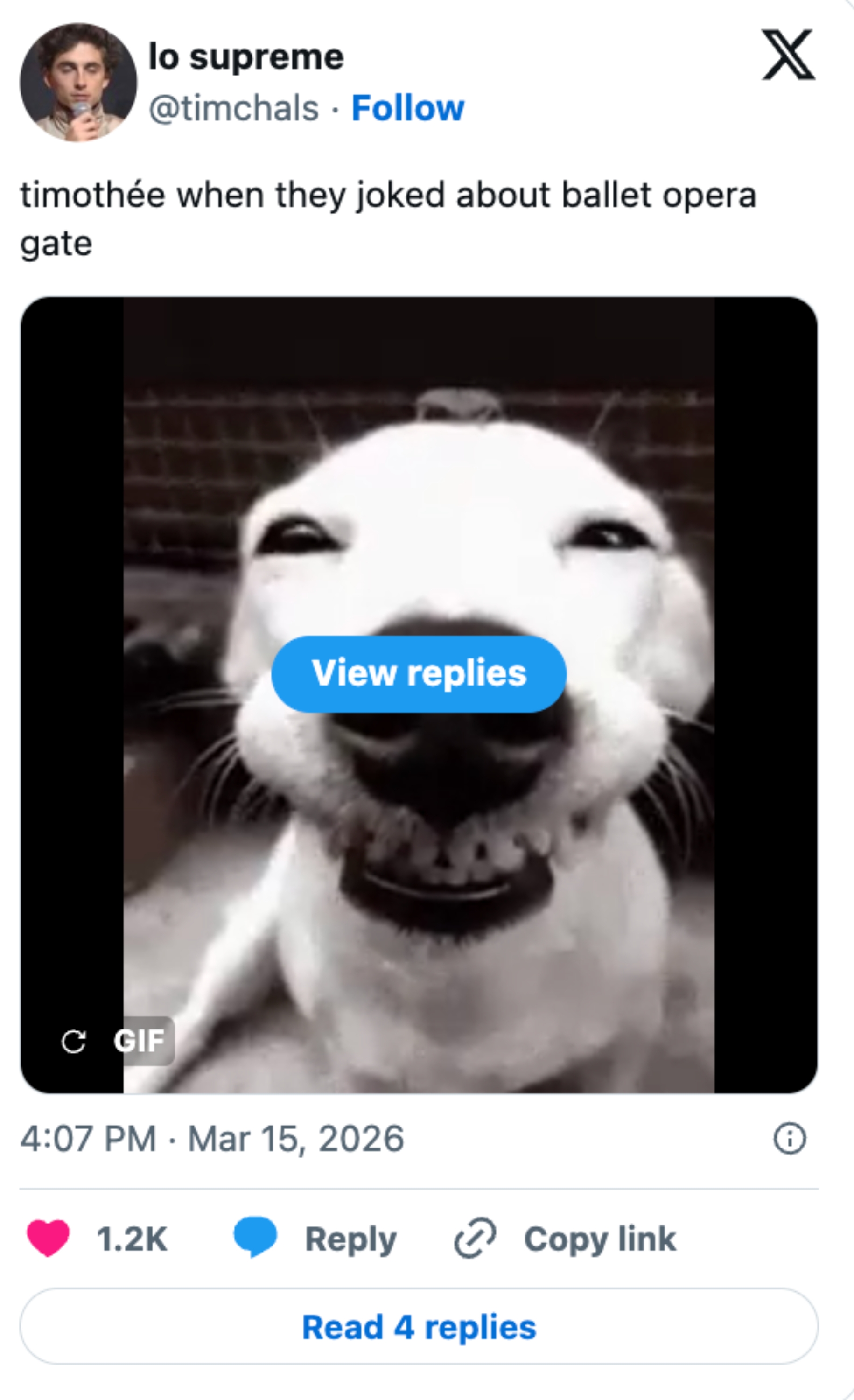 Dog with a playful expression, mouth open wide, as a GIF. Social media text relates humorously to "ballet opera gate" and a celebrity
