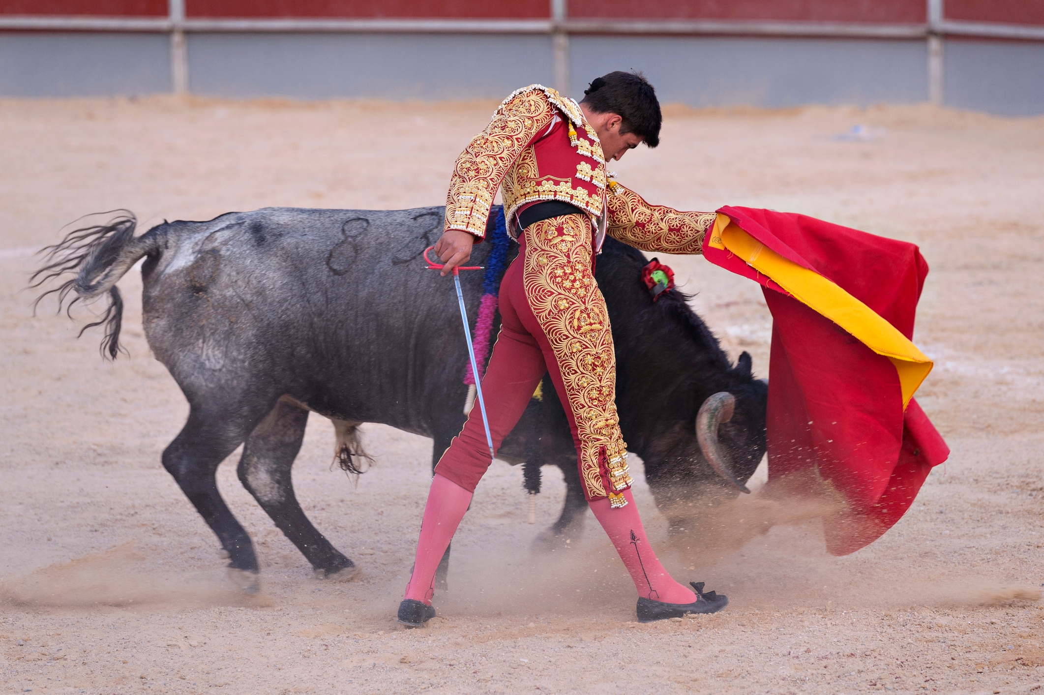 Bullfighter successful  ornate accepted   attire performs a walk  with a reddish  cape successful  an arena, engaging with the charging bull