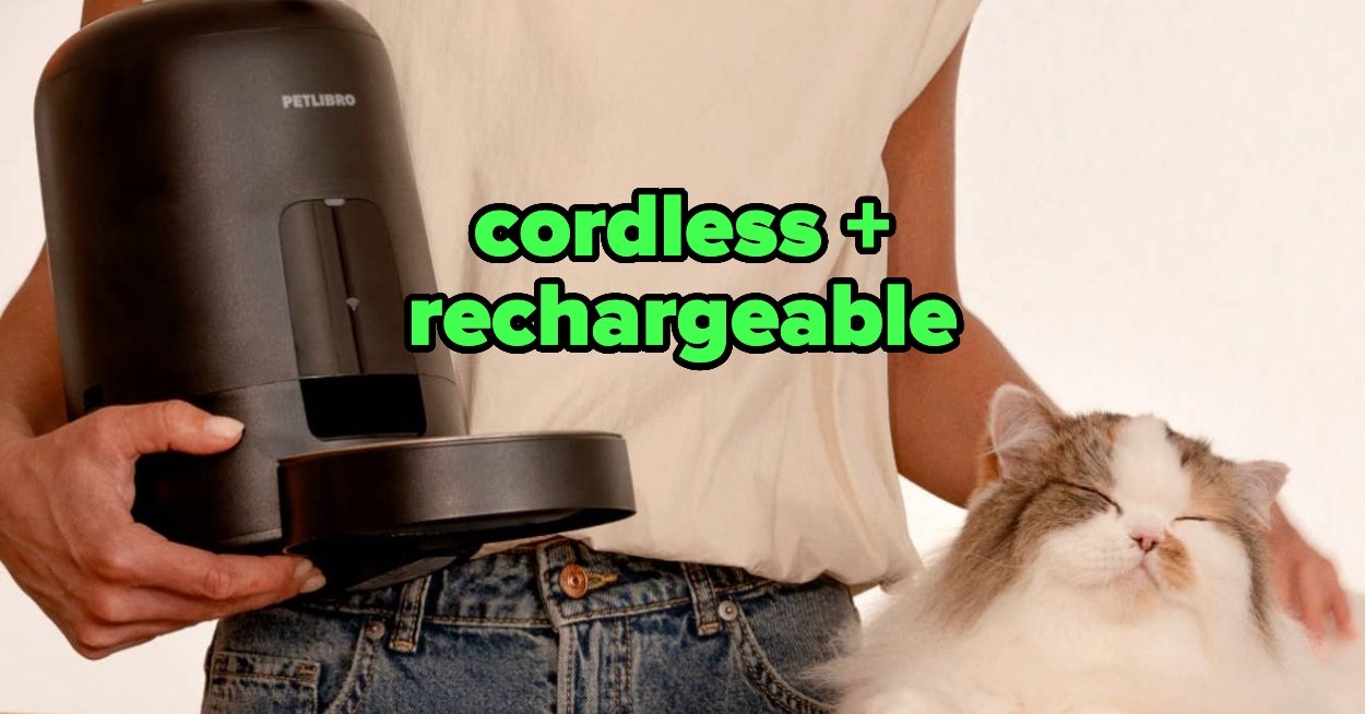 15 Automatic Cat Feeders That'll Make Any Pet Owner's Life So Much Easier