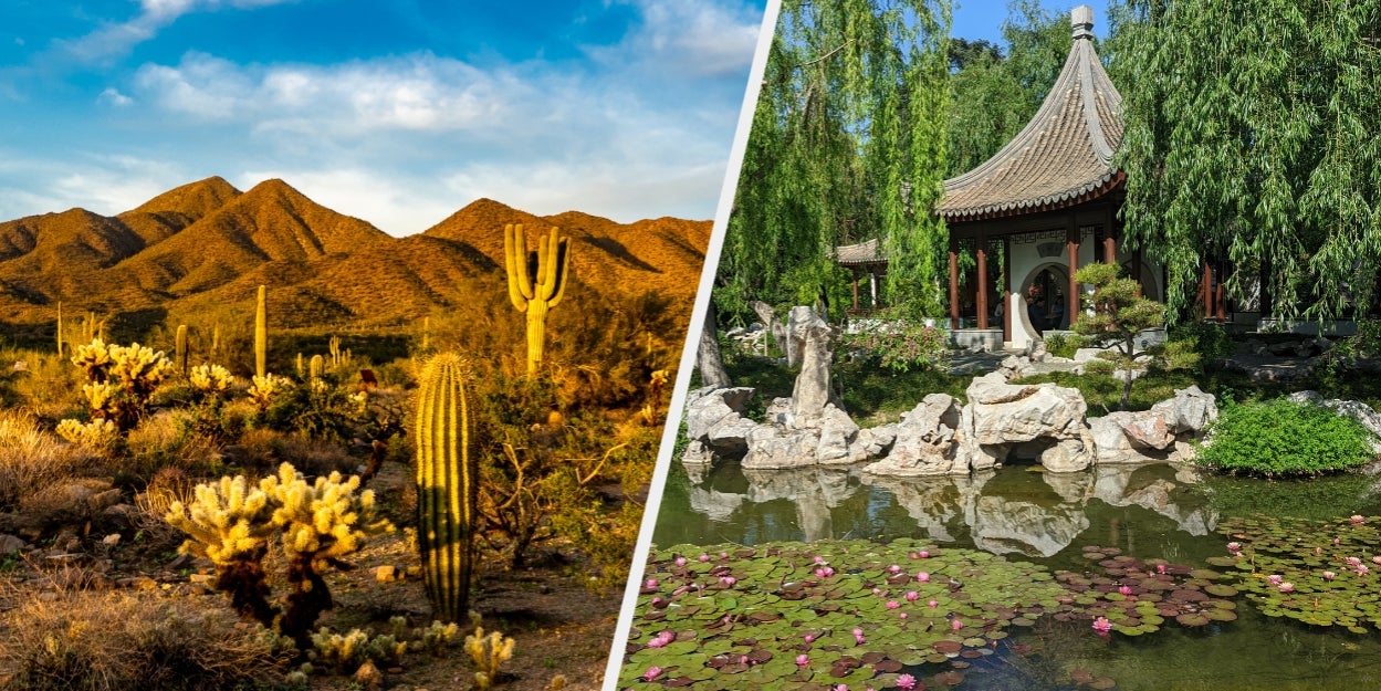 Plan Your Day At A Botanical Garden And I'll Give You One To Visit