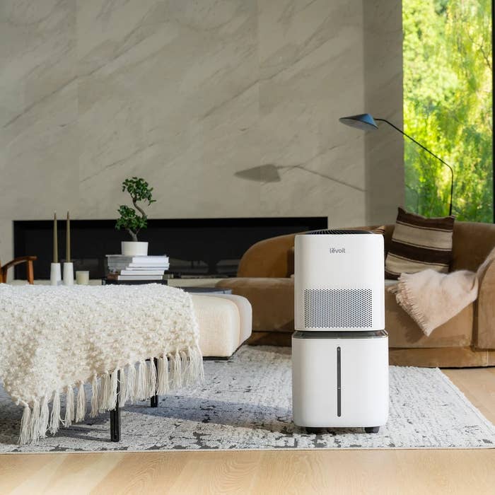 16 Best Humidifiers For Bedrooms And The Whole House