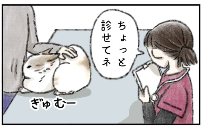 病院でスライム化するネコの漫画 一コマ目/ kaoruさん（@nekomangakakuyo）のXより