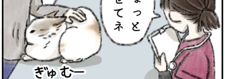病院でスライム化するネコの漫画 一コマ目/ kaoruさん（@nekomangakakuyo）のXより