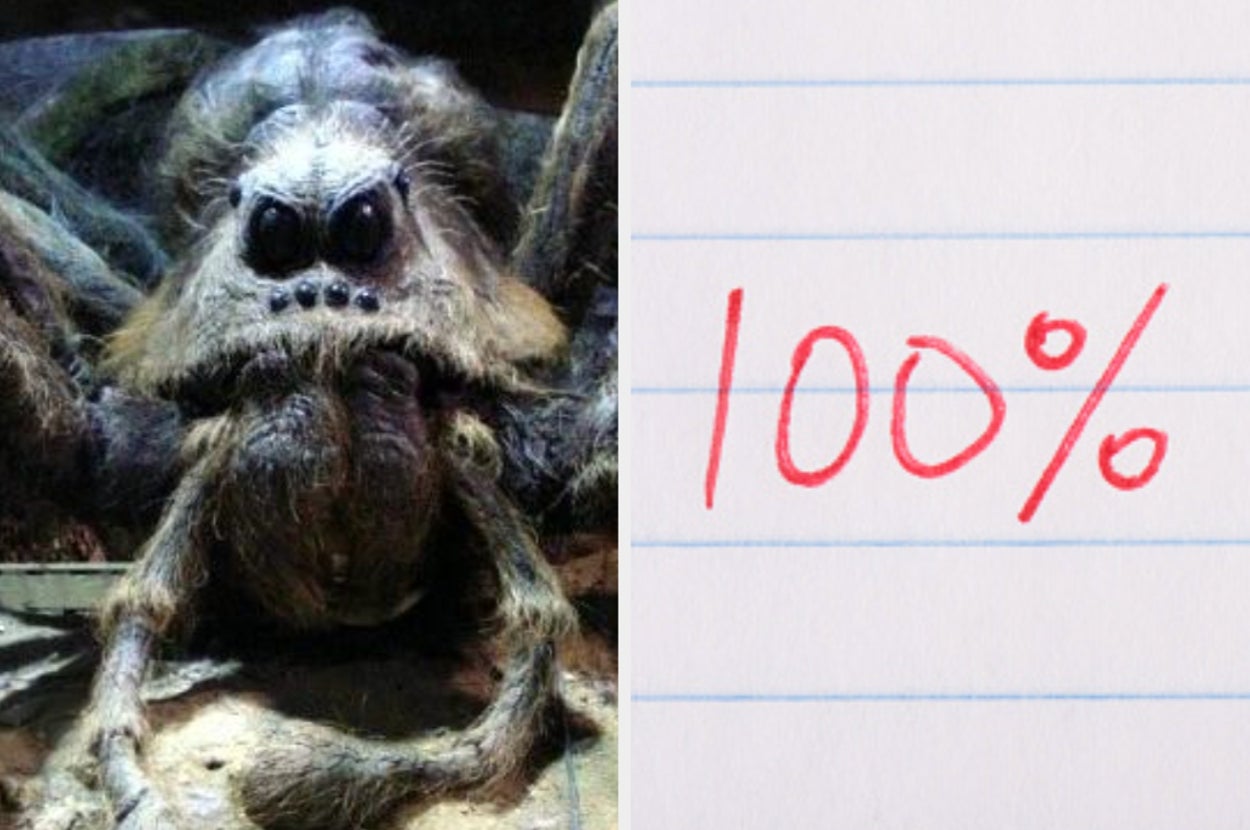 I Bet You Can't Score More Than 75% On This Ultimate Spider Trivia Quiz