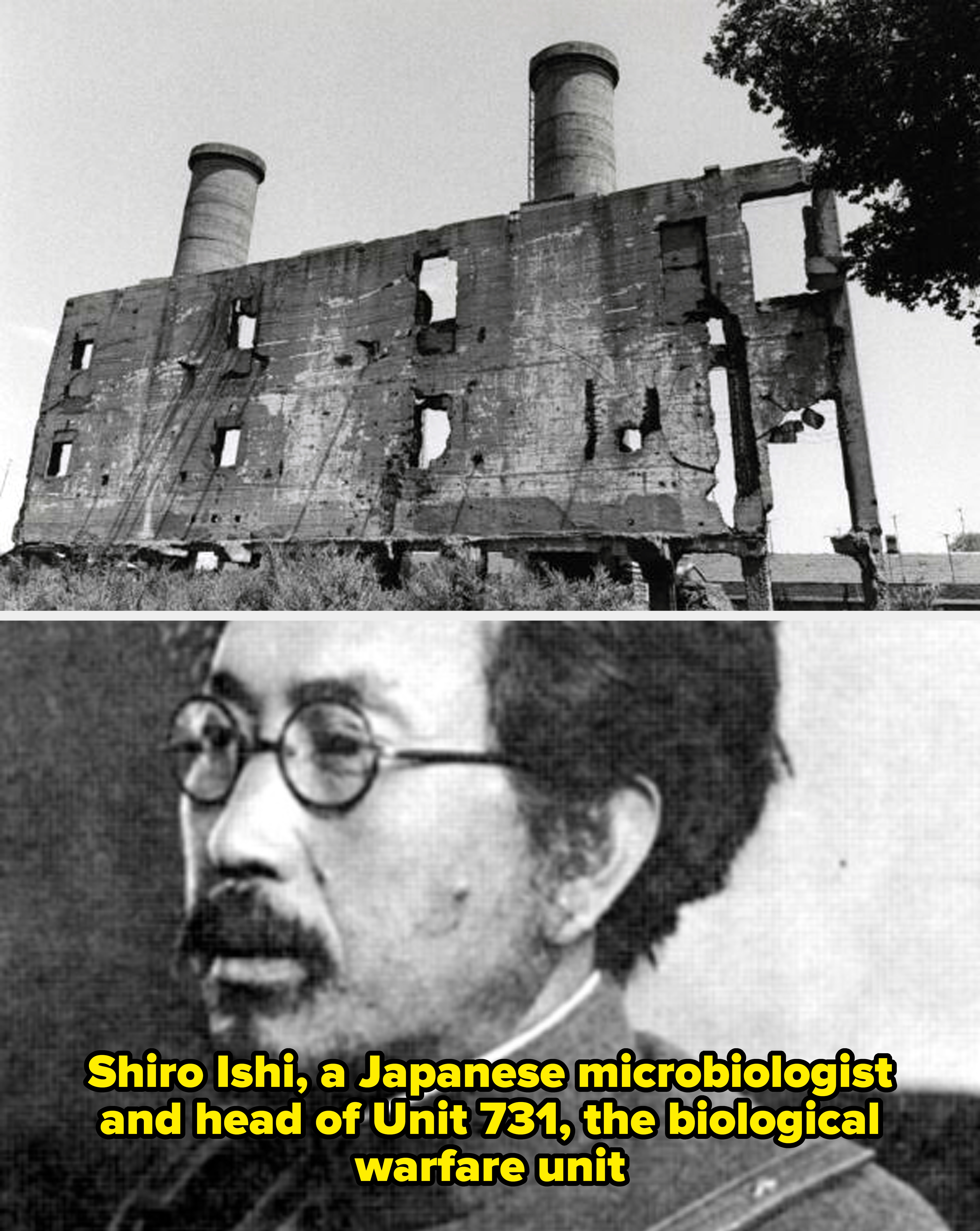 Abandoned concern   gathering  with 3  gangly  chimneys and a façade afloat  of holes, surrounded by overgrown vegetation