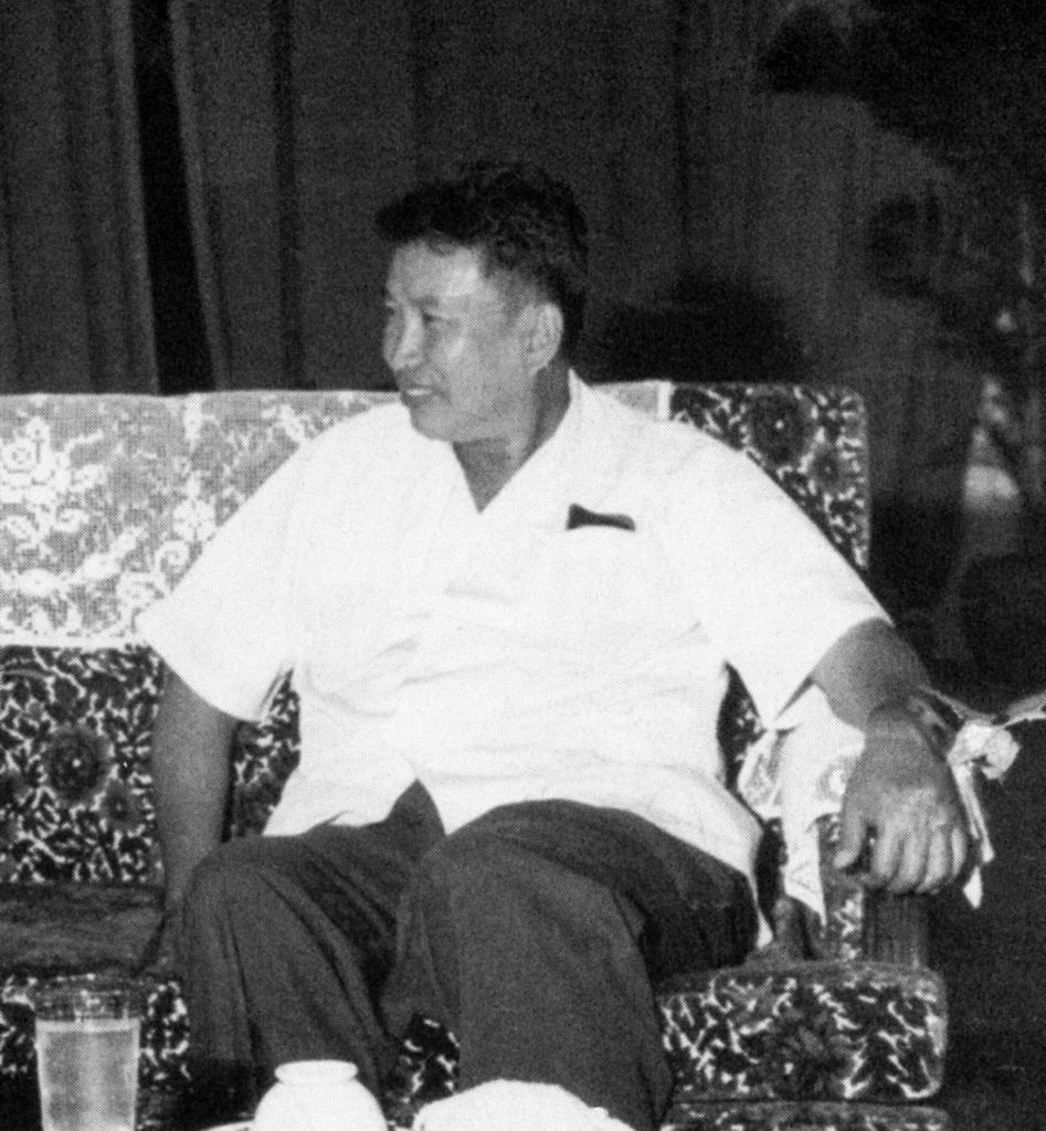 A antheral   sitting connected  a patterned sofa, wearing a short-sleeved shirt, looking to the side, with a relaxed posture, and a portion  connected  the array  nearby