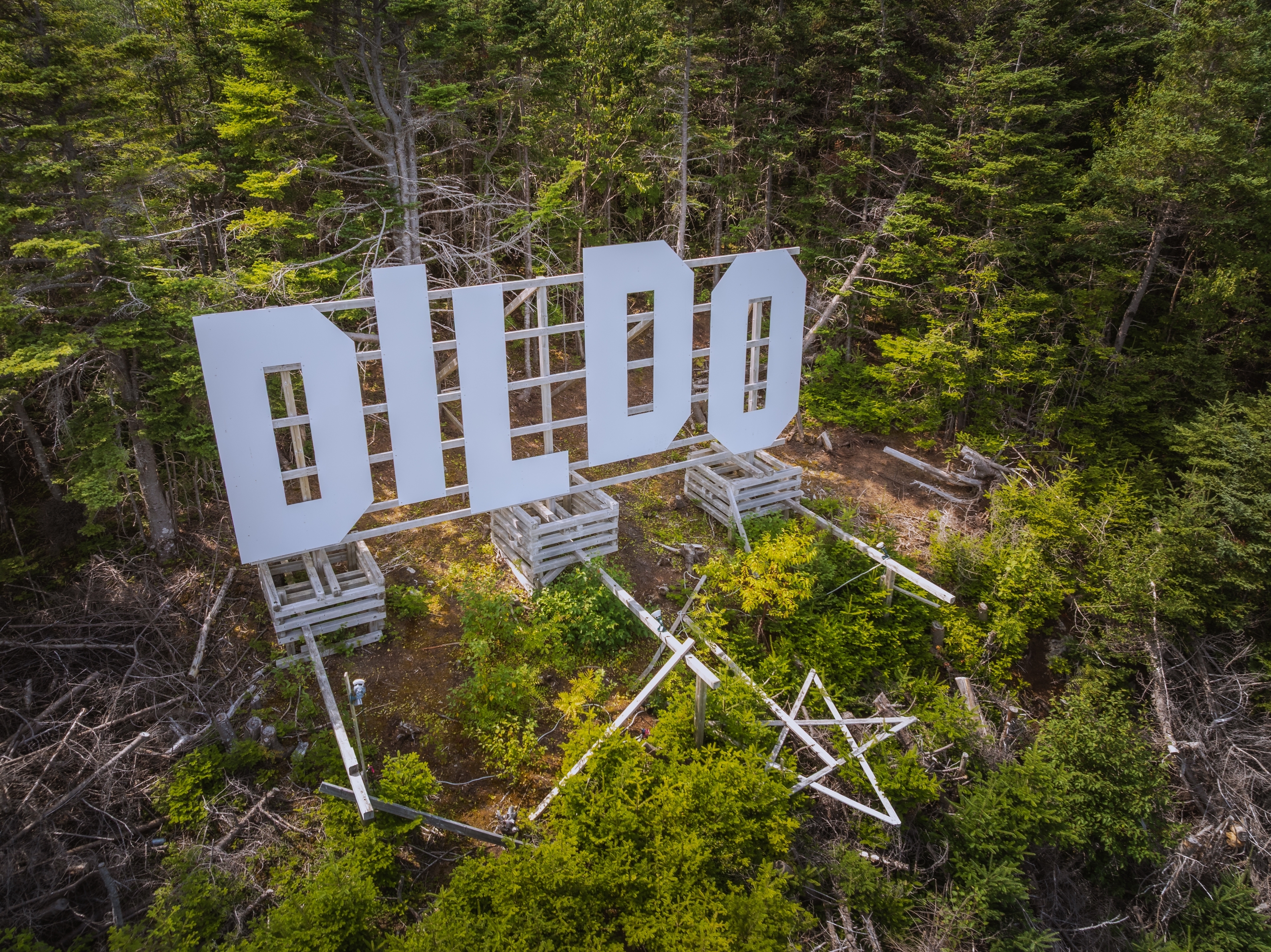 Large letters spelling "Dildo" are displayed among trees successful  a forest, reminiscent of iconic Hollywood-style signage