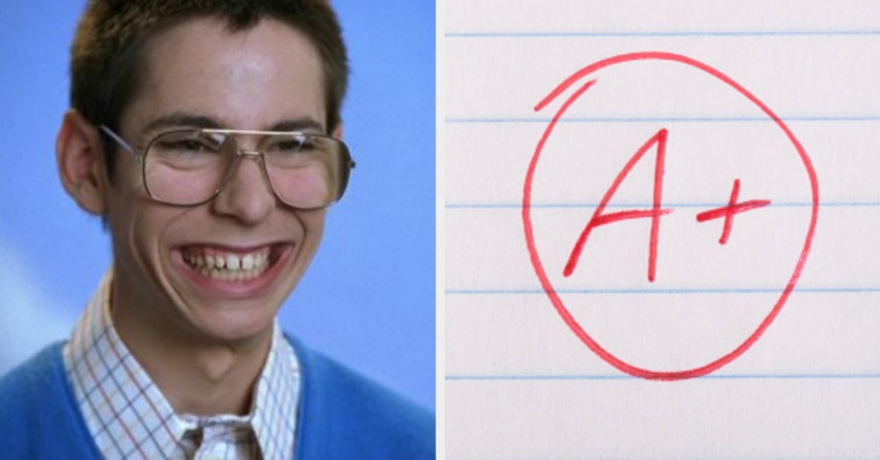 I'm Not Saying You're Dense, But If You Can't Answer These Third Grade-Level Questions...