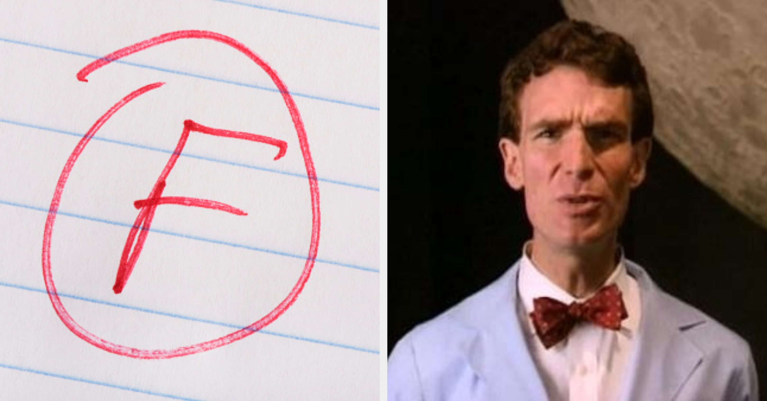 If You Can Get At Least 8 On This Middle School-Level Science Quiz, Congrats! You're Smarter Than Most Adults