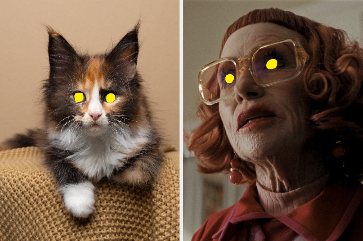 A fluffy cat and a person with exaggerated, cartoonish yellow eyes. The person has styled red hair and oversized glasses