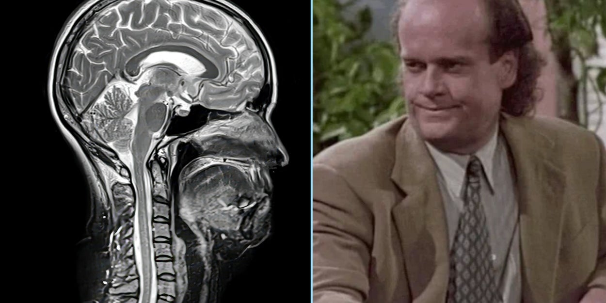 If You Get More Than 12/25 On This Psychology Trivia Quiz, Your Brain Functions At A PhD Level