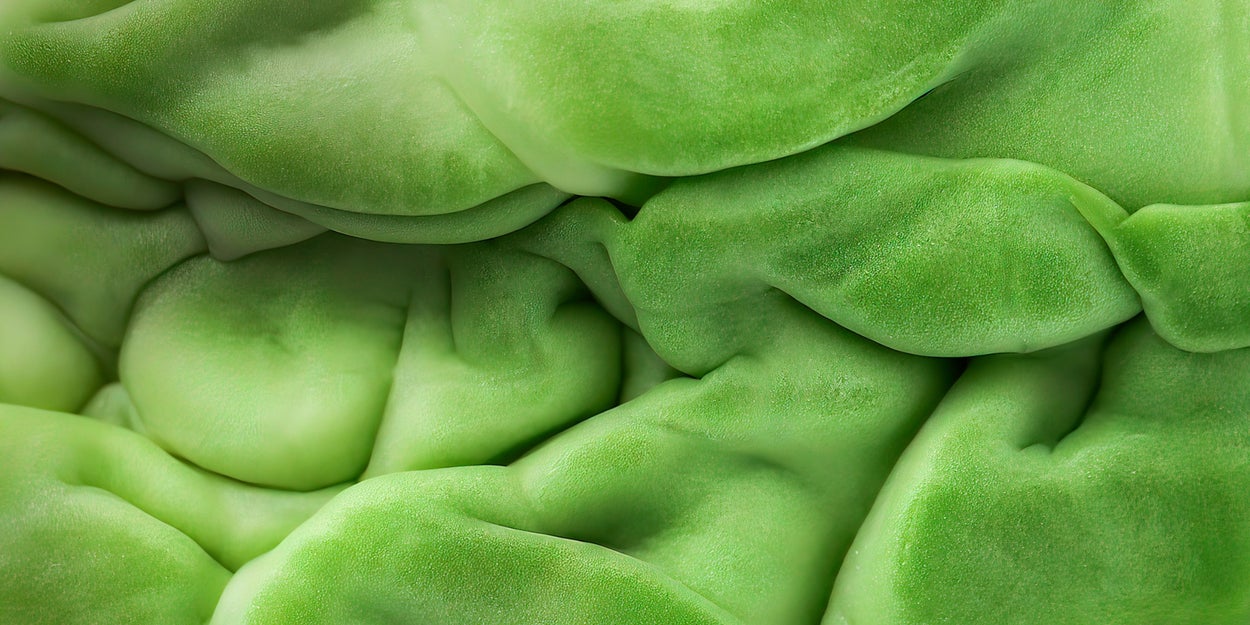 Your Vision Is In The 90th Percentile If You Get More Than 9/13 On This Close-Up Image Quiz