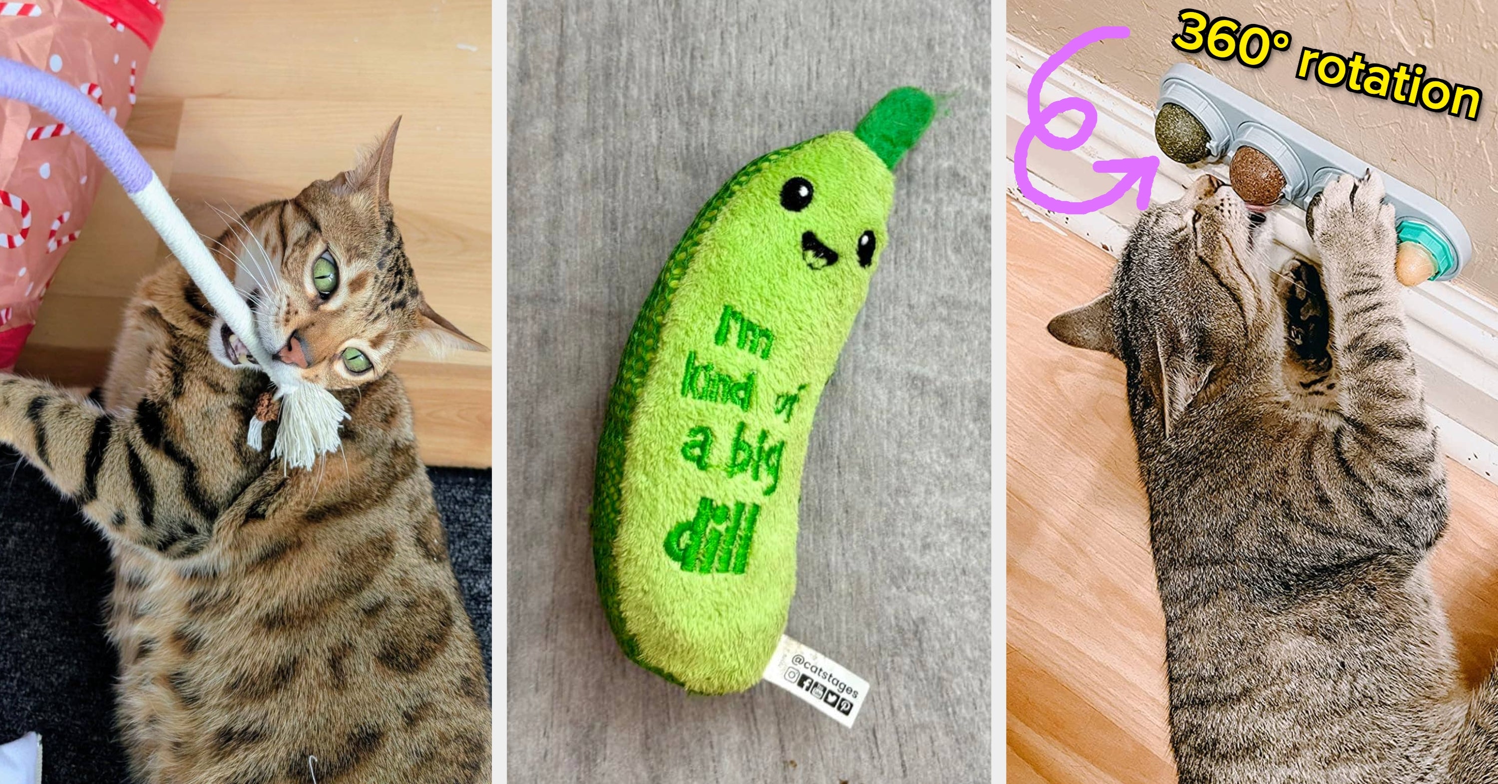 21 Chew Toys Your Cat Will Be *Obsessed* With