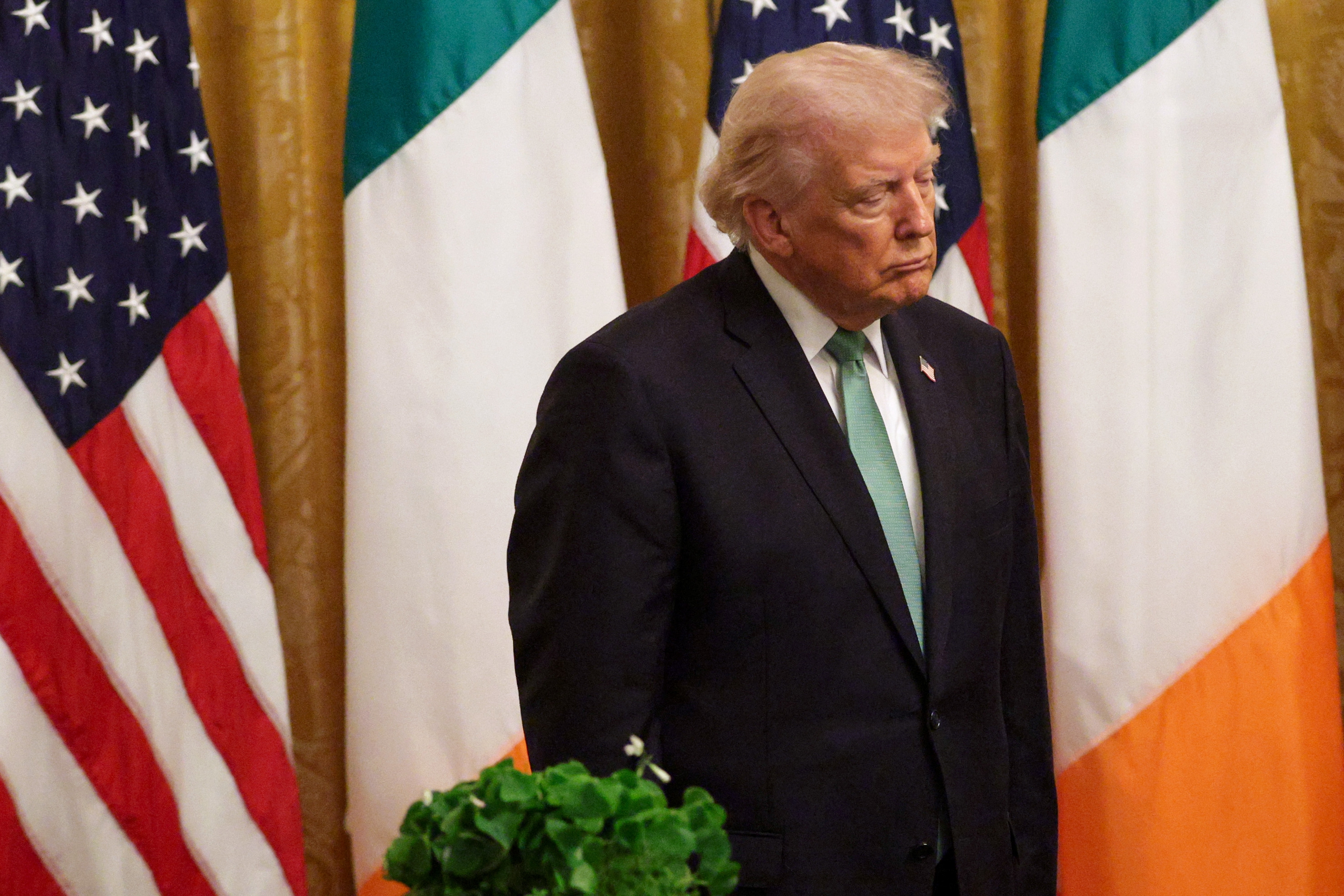 A antheral   stands solemnly successful  beforehand   of U.S. and Irish flags. He wears a suit   with a greenish  necktie  and is positioned beside a potted plant