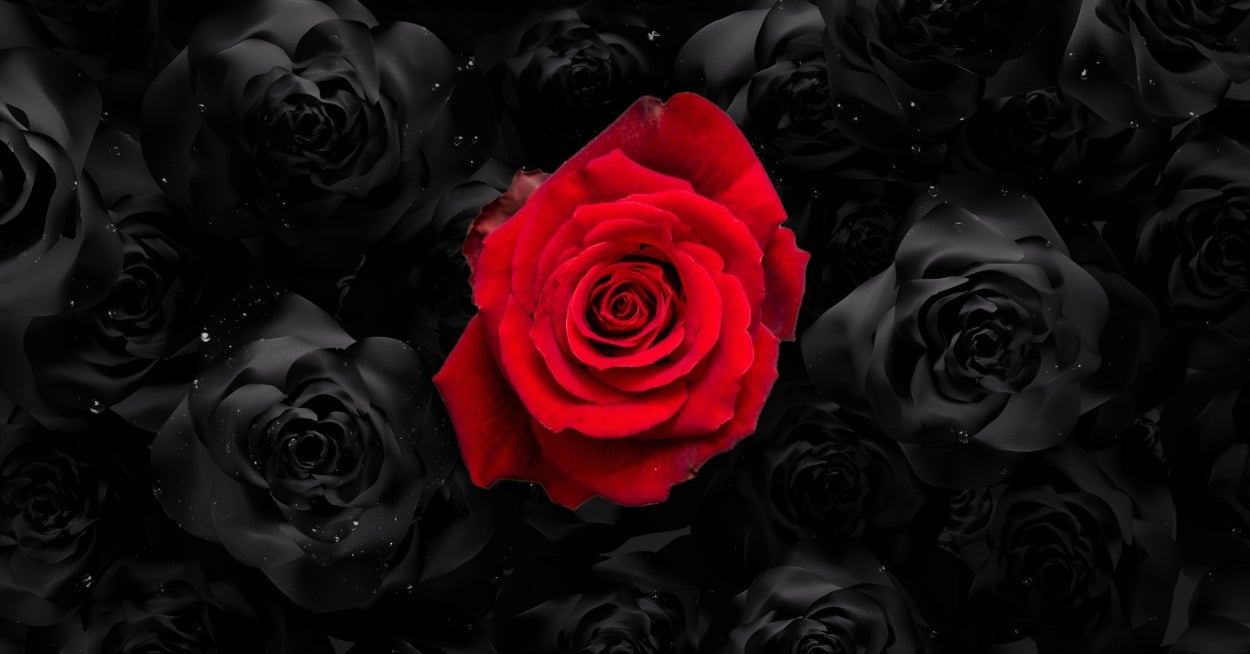 Which Flower Matches The Very Depths Of Your Soul? Pick Black Items To Find Out