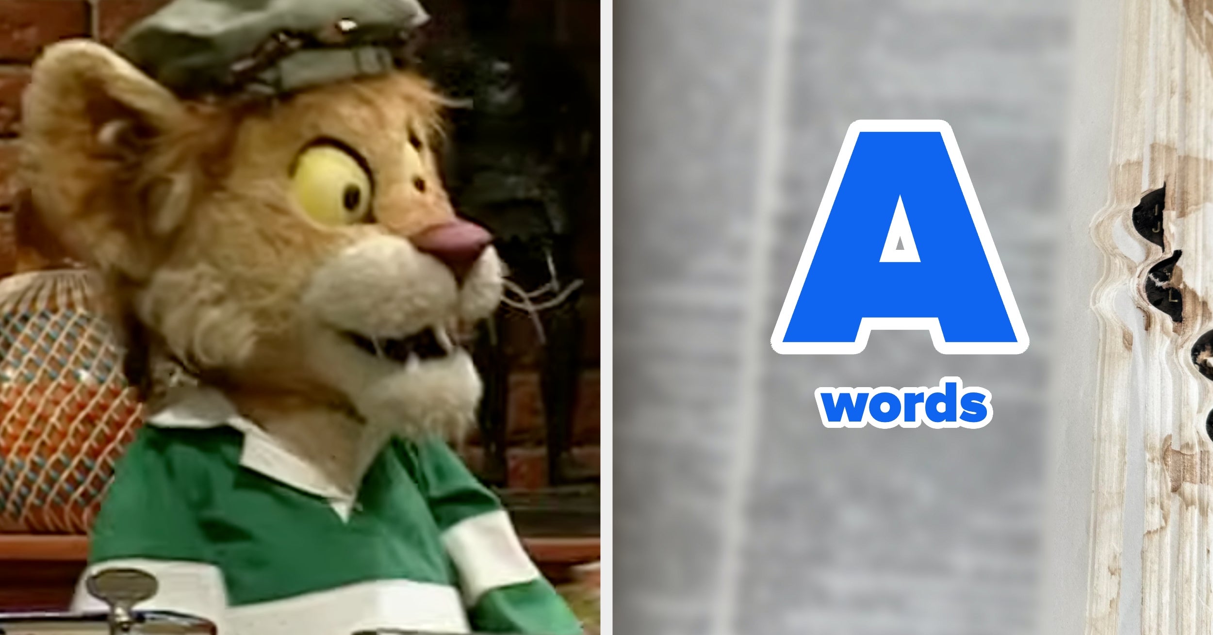 Your Brain Is In The Top 4% If You Know The Definitions Of These A-Words