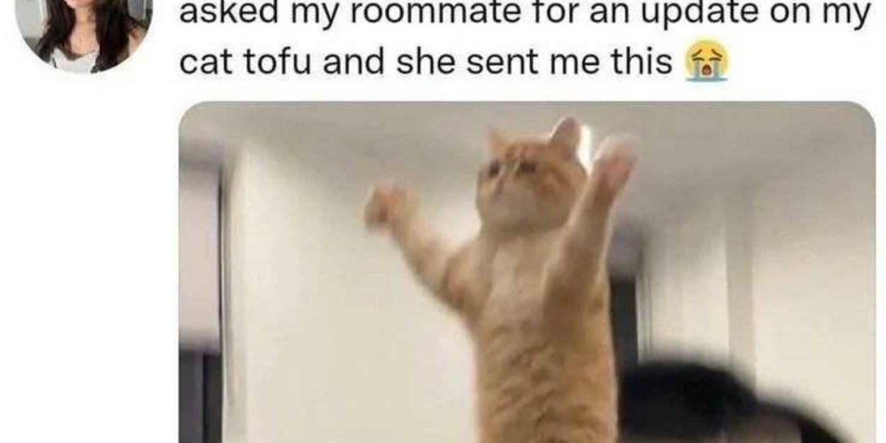 This Week's Funniest Tweets That Avoid Politics