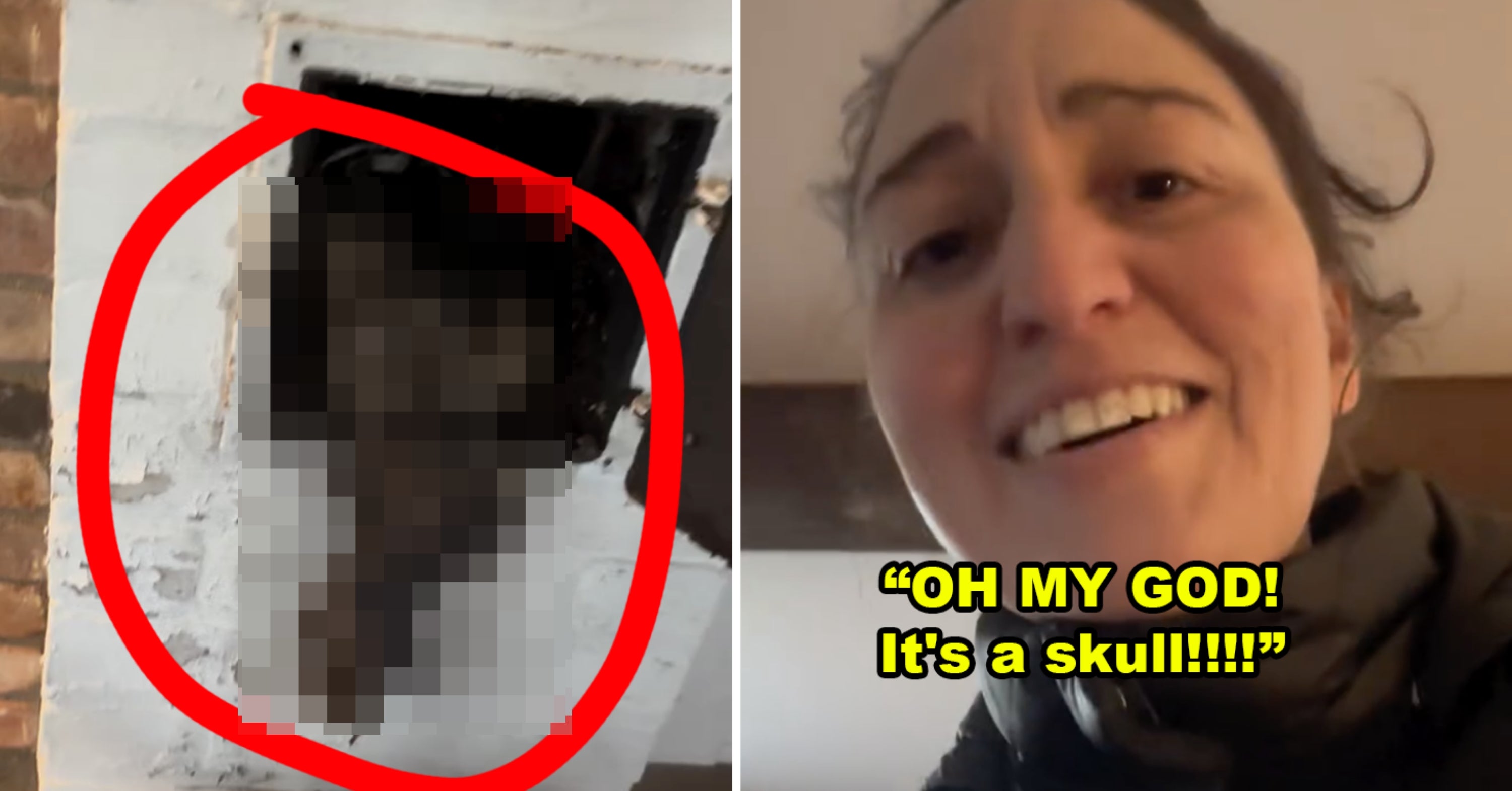 "It's A Skull!" This Viral Video Of Sara Bareilles Finding F*cking DEAD BONES In Her House Is Sooooo Wild