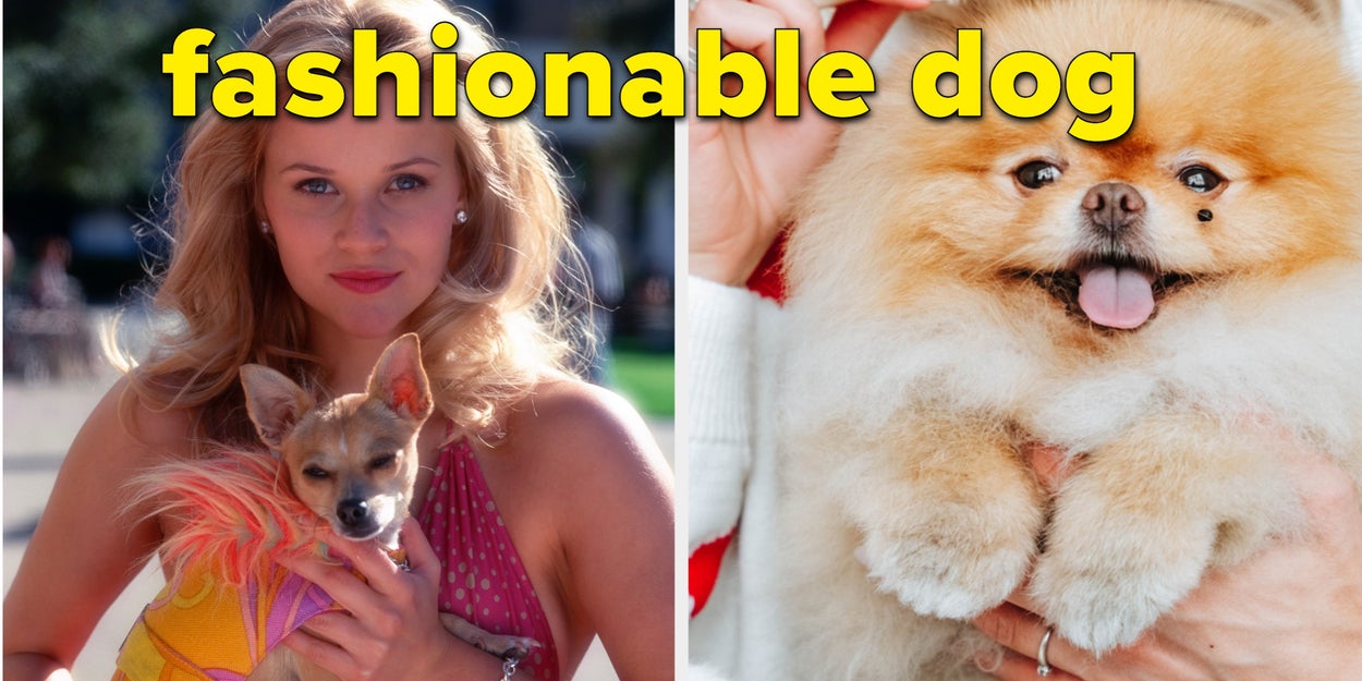 Pick Some EXTREMELY CUTE Puppies And We’ll Guess What Your First Pet Was