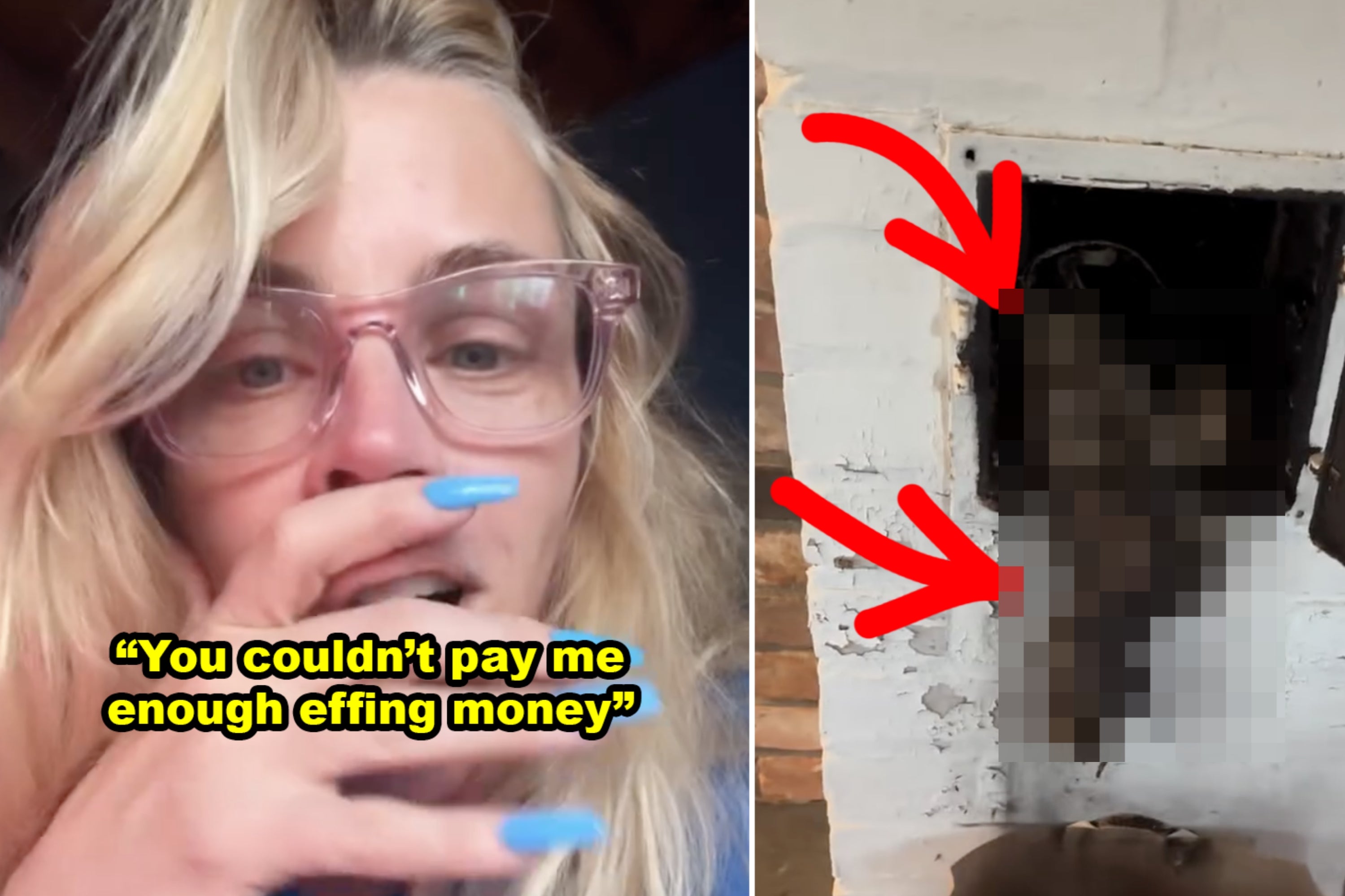 Woman with glasses reacting to bird's nest removal from chimney; text overlay says, "You couldn’t pay me enough effing money."